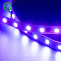 LED Pixel Ws2811 RGB Pixel LED Light 30LED LED Strip DC12 Non-Waterproof Strip with CE Certificate